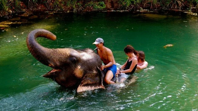 Elephant Trekking, Thailand – Elephant Nature Park (HD)