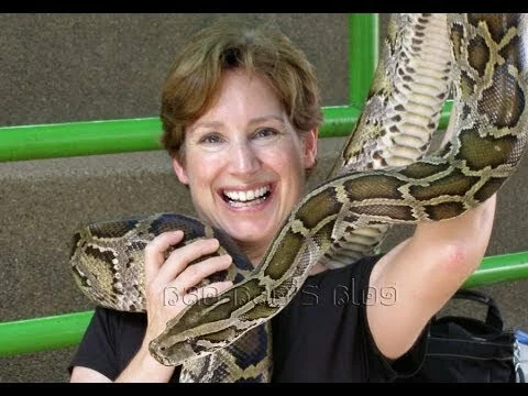 Snakes in Thailand, Bangkok (HD)