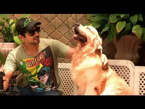 Heavy Petting: Zayed Khan and White Collar
