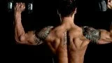 Build Massive Shoulders Fast ( Gym Workout )