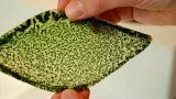 Crave – Man-made photosynthesizing leaf could breathe air into buildings, spaceships, Ep. 168